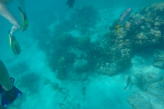 DCIM100GOPROGOPR0186.JPG