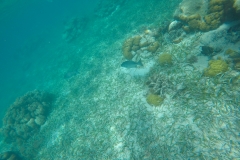 DCIM100GOPROGOPR0188.JPG