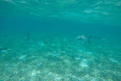 DCIM100GOPROGOPR0190.JPG