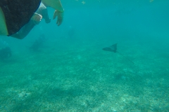 DCIM100GOPROGOPR0192.JPG
