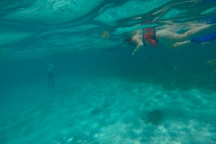 DCIM100GOPROGOPR0193.JPG