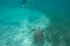 DCIM100GOPROGOPR0198.JPG