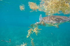 DCIM100GOPROGOPR0202.JPG