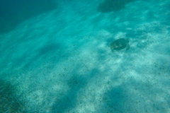 DCIM100GOPROGOPR0204.JPG