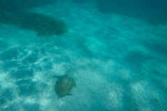 DCIM100GOPROGOPR0205.JPG
