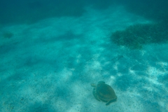 DCIM100GOPROGOPR0206.JPG