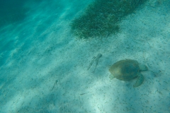 DCIM100GOPROGOPR0208.JPG