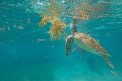 DCIM100GOPROGOPR0211.JPG