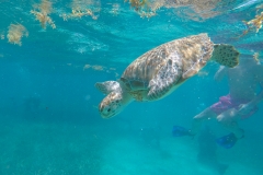 DCIM100GOPROGOPR0212.JPG