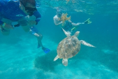 DCIM100GOPROGOPR0213.JPG
