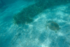 DCIM100GOPROGOPR0214.JPG
