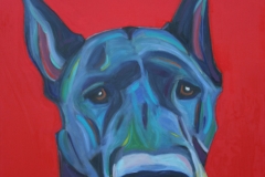 rufus-1