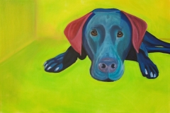 sfumato_dog-1