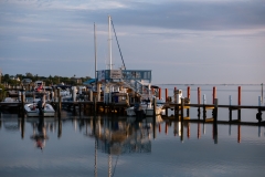 P1130949