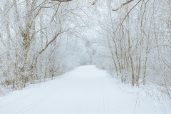 Carver Park Reserve