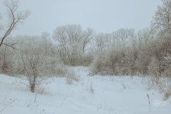 Carver Park Reserve