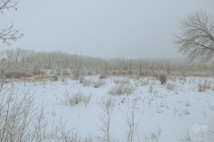 Carver Park Reserve