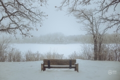 Carver Park Reserve