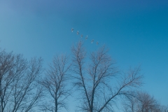 Crow Hassan Park Preserve