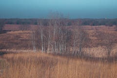 Crow Hassan Park Preserve