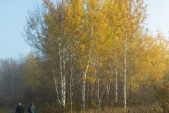 Crow Hassan Reserve