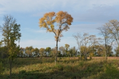 P1180089