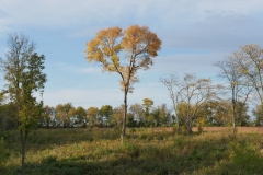 P1180090