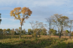 P1180092