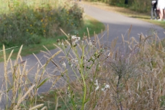 P1180093