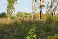 P1180122