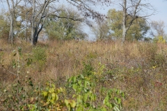 P1180401