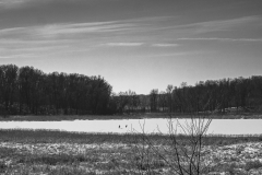 P1200246-Edit-2