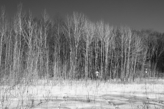 P1200254