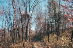 Lebanon Hills