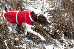 PS520378-Enhanced-NR