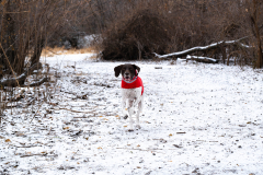 PS520404-Enhanced-NR