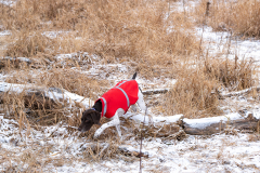 PS520413-Enhanced-NR