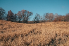 Lebanon Hills