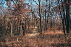 Lebanon Hills