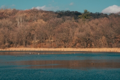 Lebanon Hills