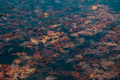 Lebanon Hills