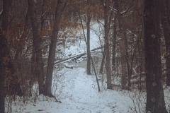 P1190252