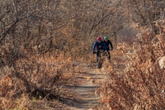 Minnesota River National Wildlife Refuge