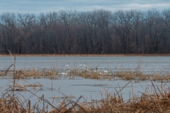 Minnesota River National Wildlife Refuge