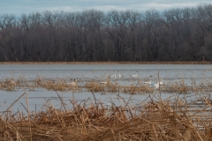 Minnesota River National Wildlife Refuge