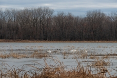 Minnesota River National Wildlife Refuge
