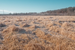 William O'Brien State Park