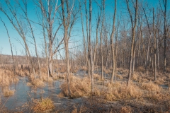 William O'Brien State Park