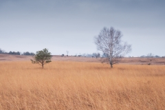 Afton State Park