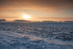 Dundas, MN